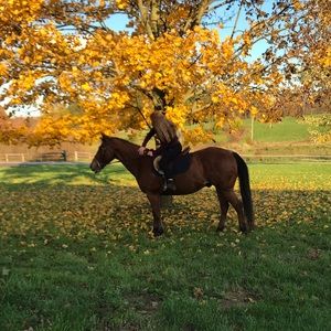 Meet your Posher, Lauren